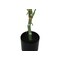 Monarch Specialties Artificial Plant 54" Tall Dieffenbachia Tree, Indoor, Faux, Fake, Floor, Greenery Potted, Real Touch I 9519 - alternate 2